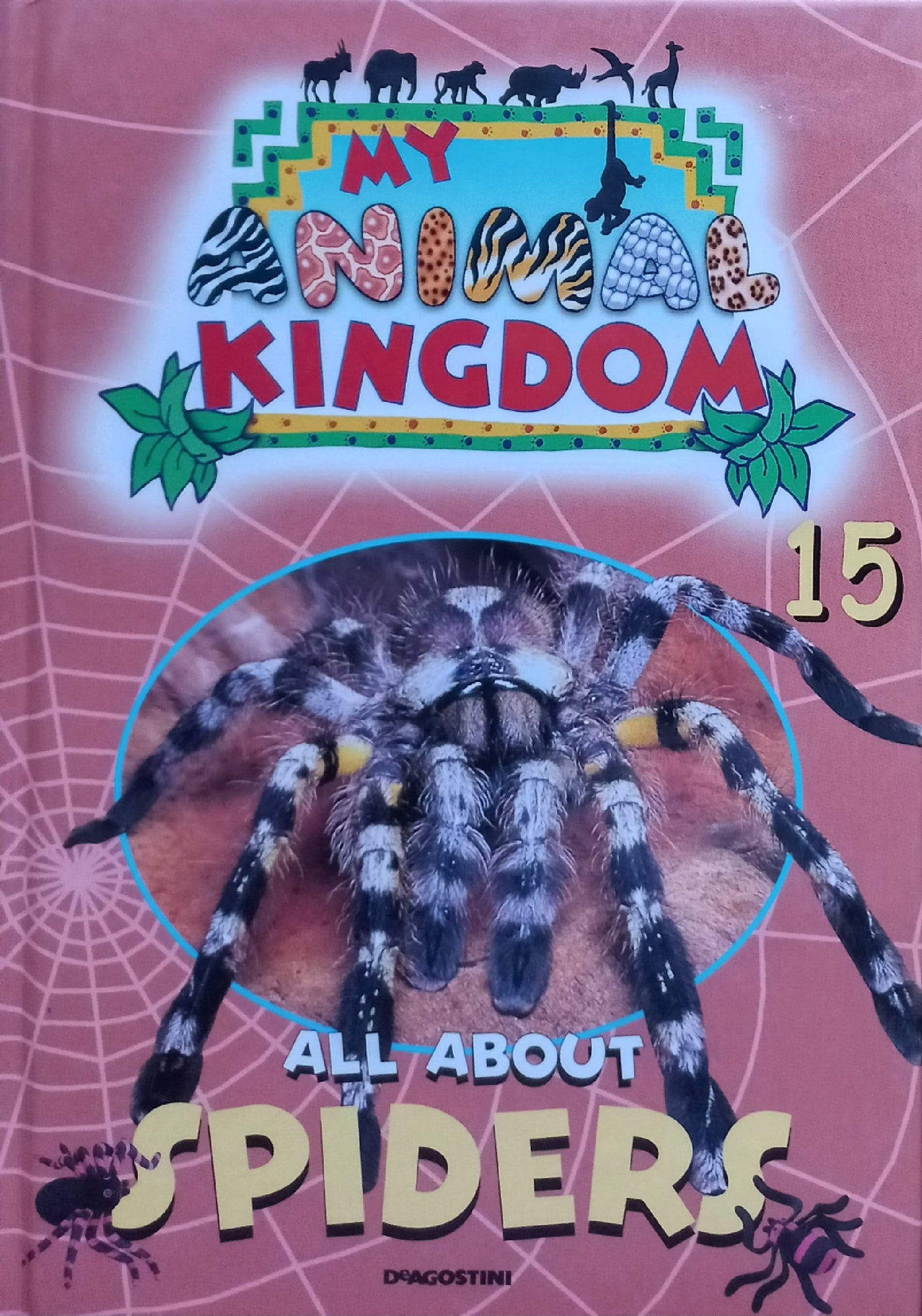 My animal kingdom: All about Spiders  - Deagostini