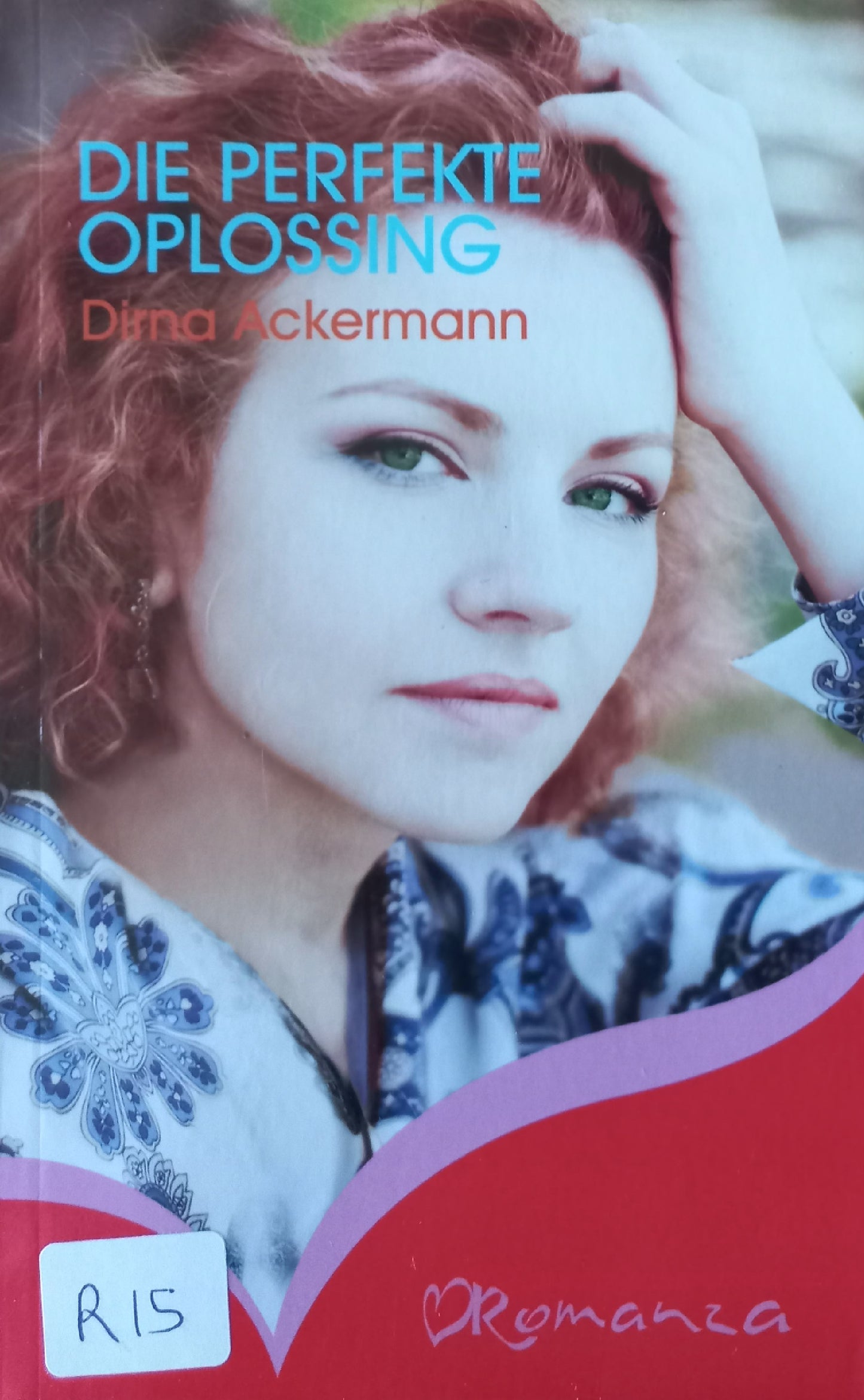 Die perfekte oplossing - Dirna Ackermann