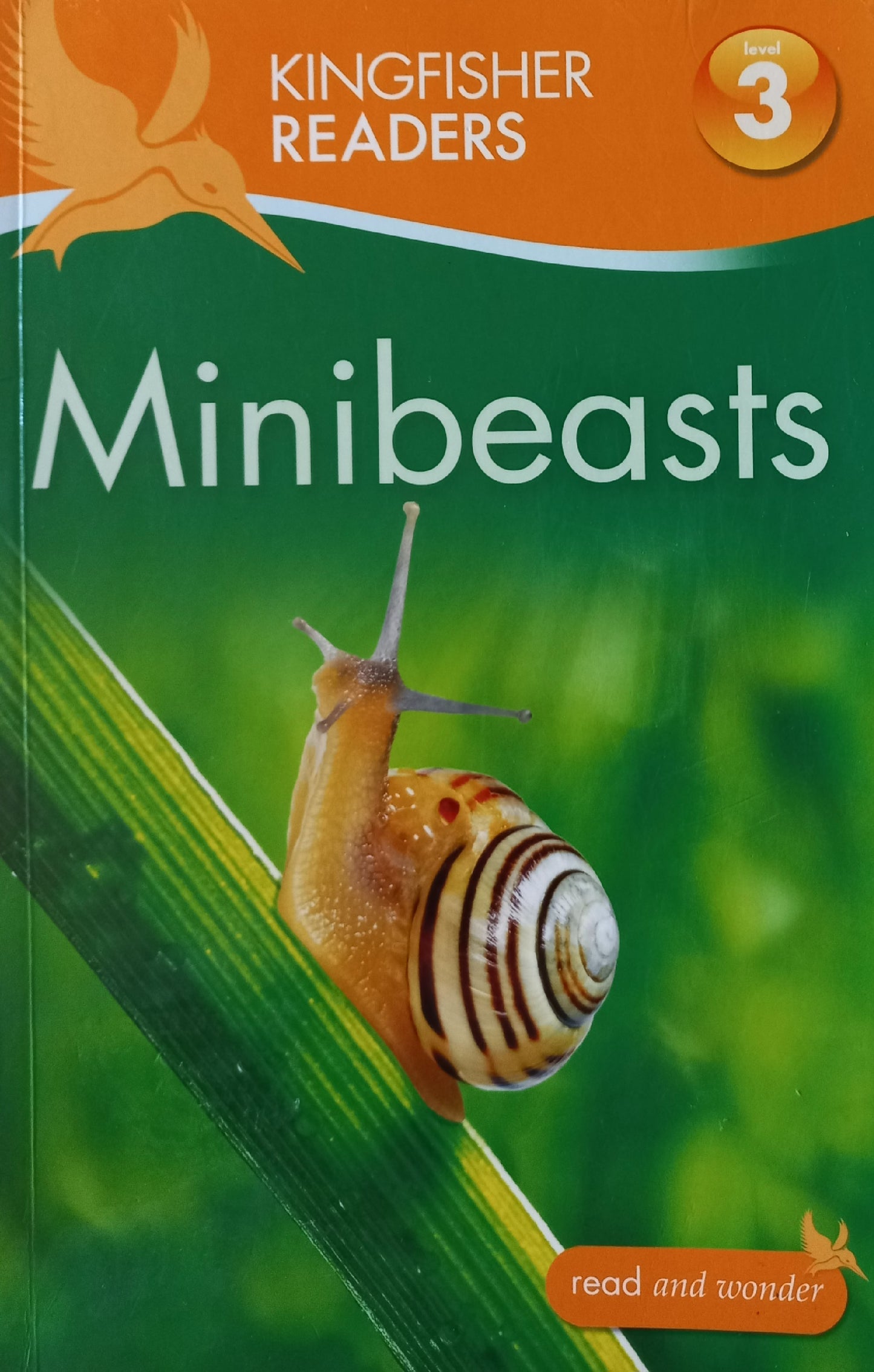 Minibeasts - Kingfisher readers