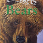 Bears: 100 Facts - Miles Kelly