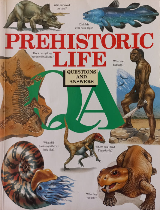 Q&A Prehistoric life - Juri van der Heever