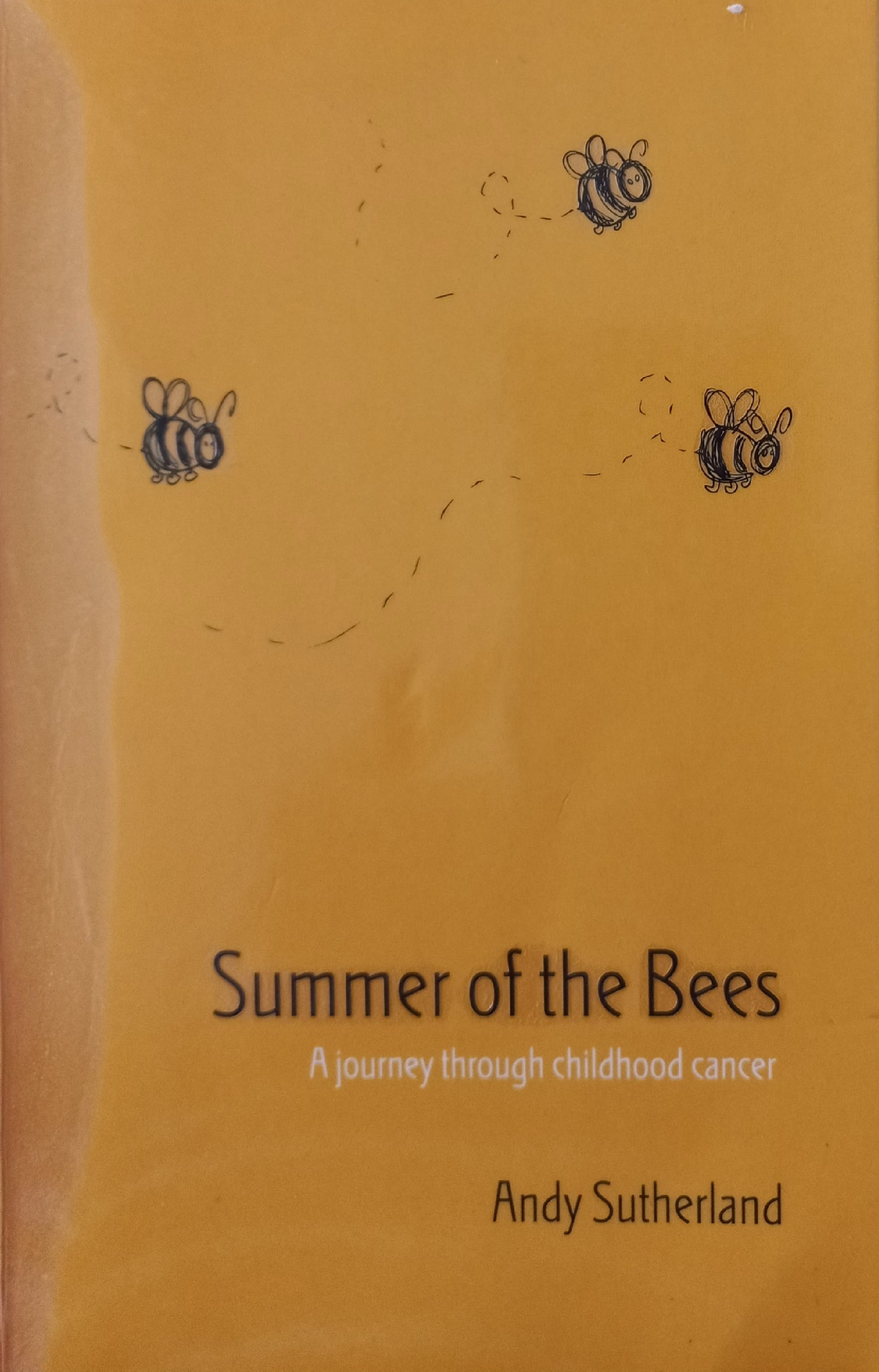 Summer of the bees: A journey through childhood cancer - Andy Sutherland