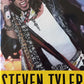 Does the noise in my head bother you? - Steven Tyler