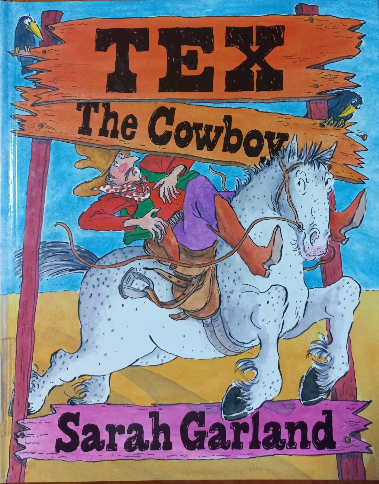 Tex: The cowboy - Sarah Garland