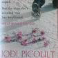 The Tenth Circle - Jodi Picoult