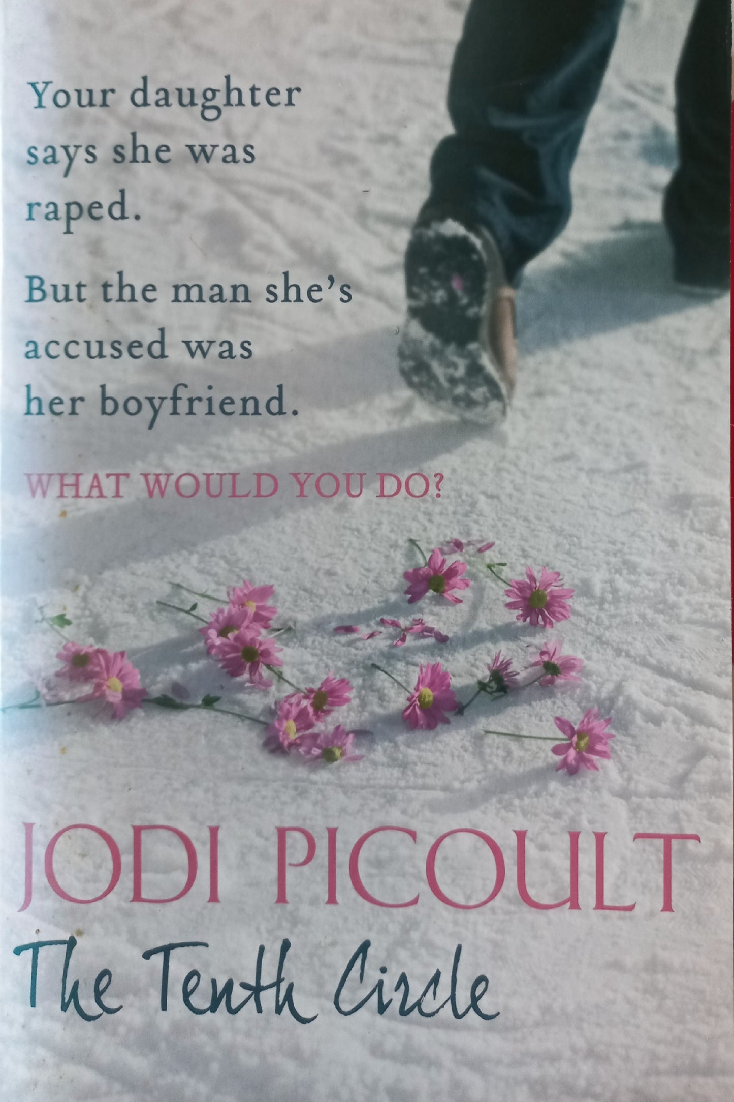 The Tenth Circle - Jodi Picoult