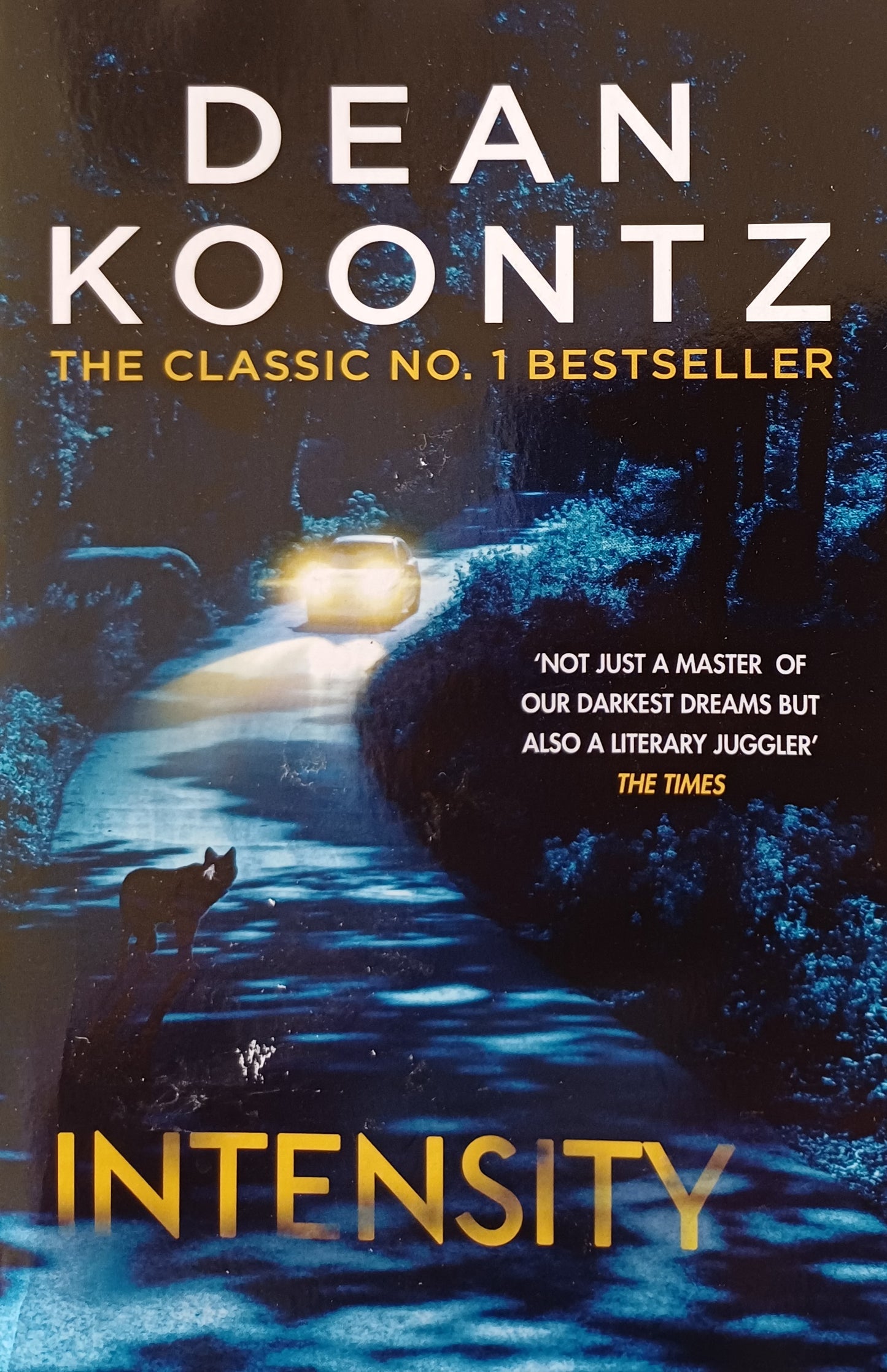 Intensity - Dean Koontz