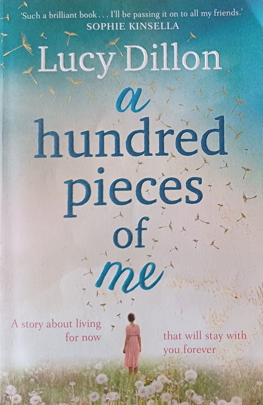 A hundred pieces of me - Lucy Dillon