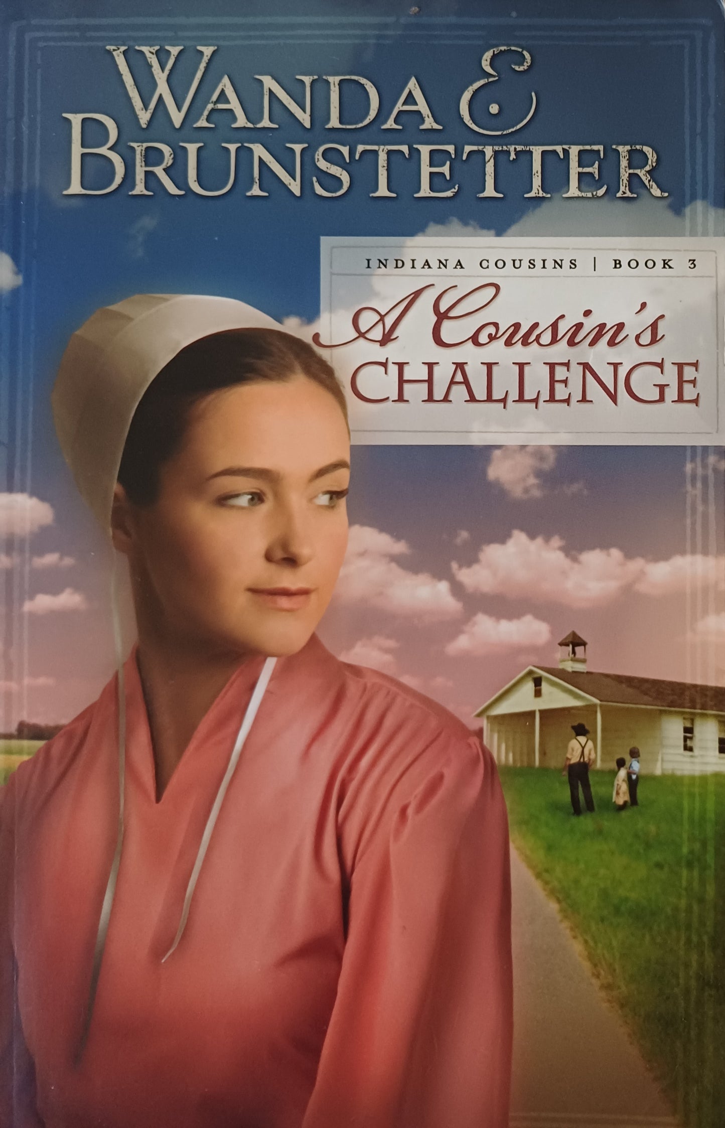 A cousin's challenge  - Wanda E. Brunstetter (Indiana cousins #3)