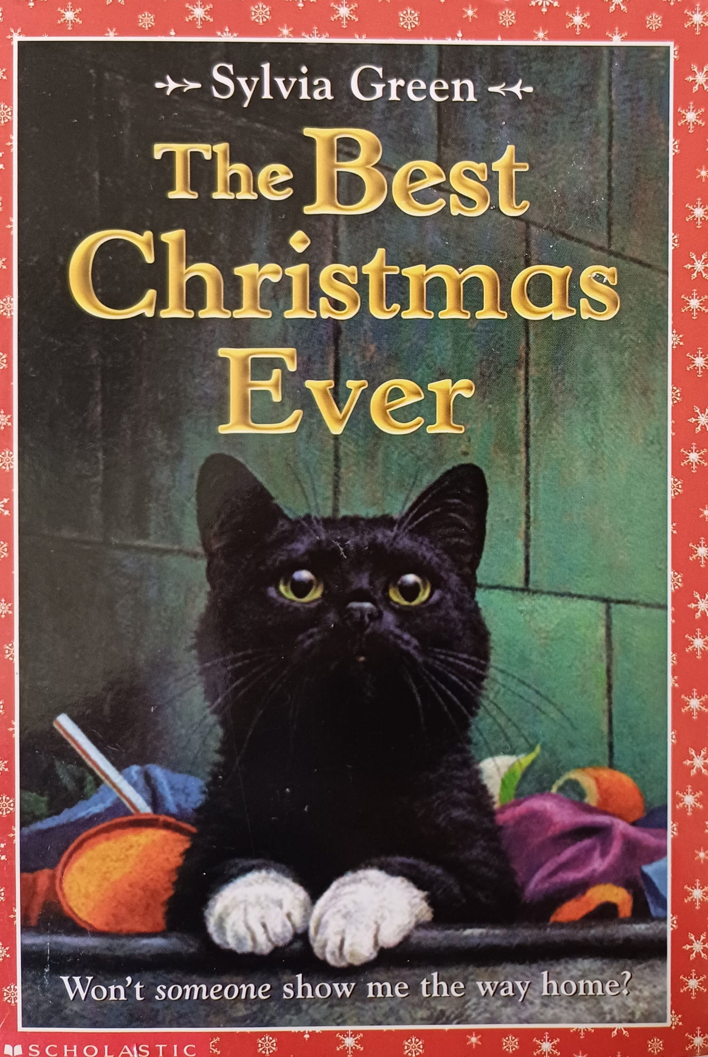 The best Christmas ever - Sylvia Green