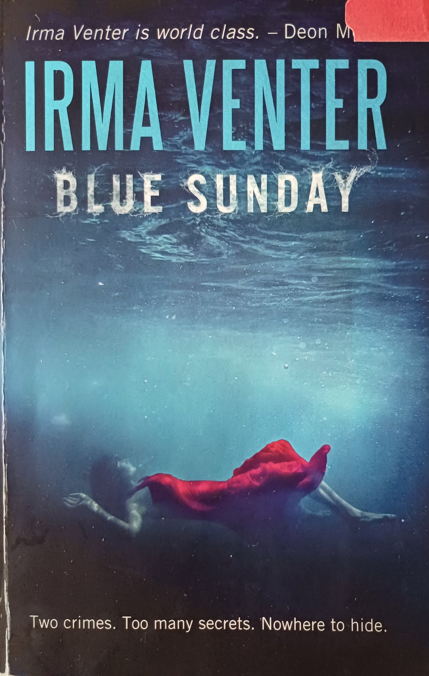 Blue Sunday - Irma Venter