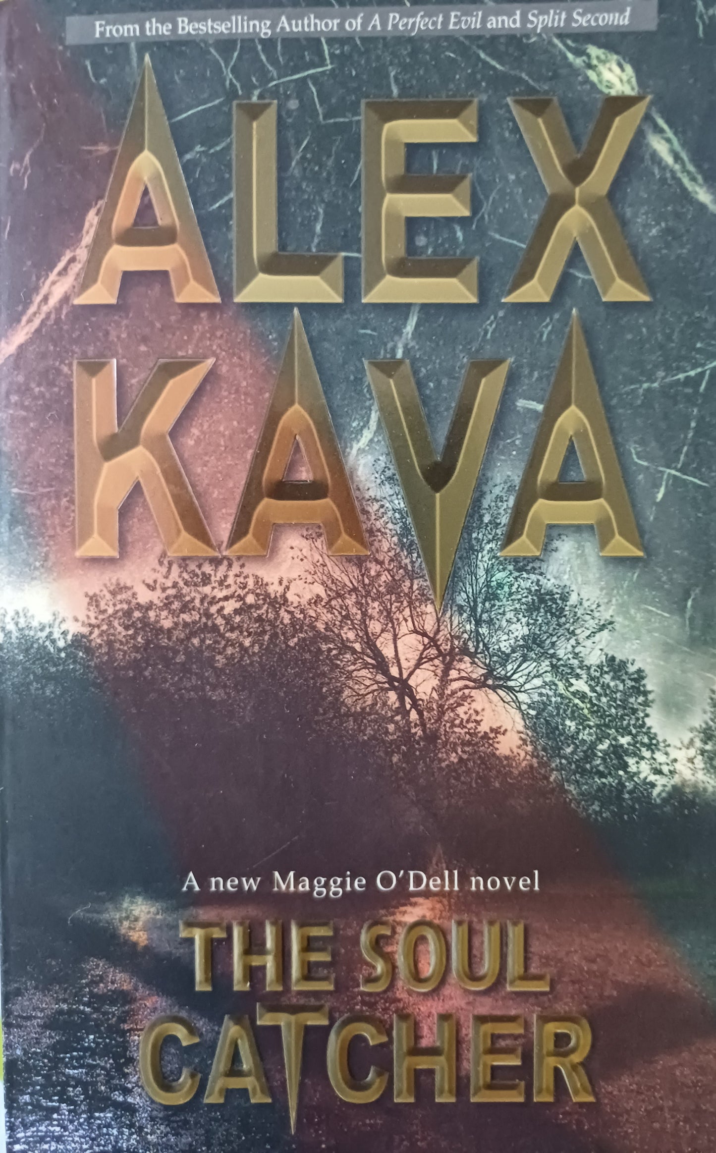 The soul catcher - Alex Kava (Maggie O'Dell #3)