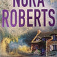 Blood Magick - Nora Roberts (The Cousins O'Dwyer #3)