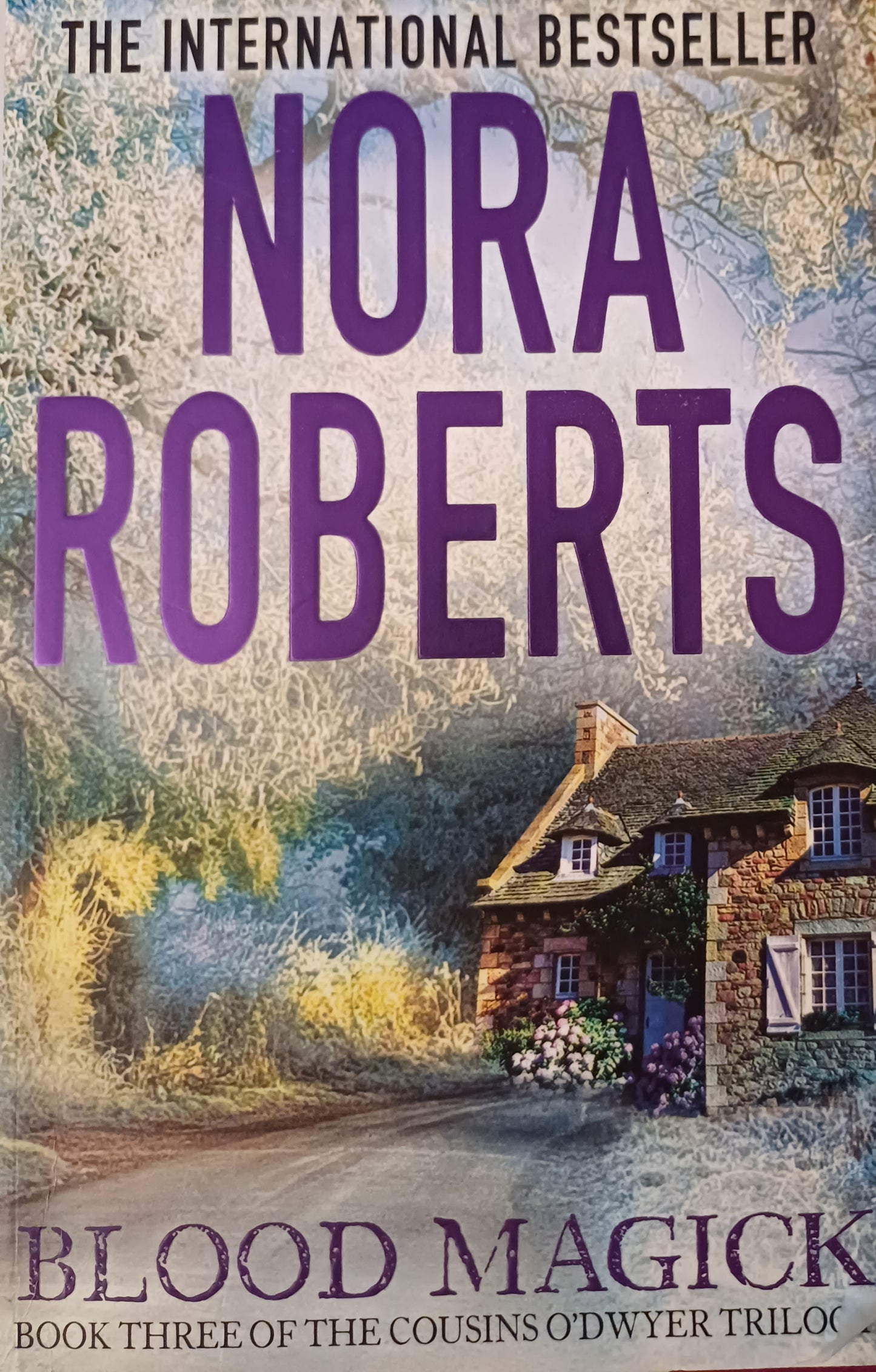 Blood Magick - Nora Roberts (The Cousins O'Dwyer #3)