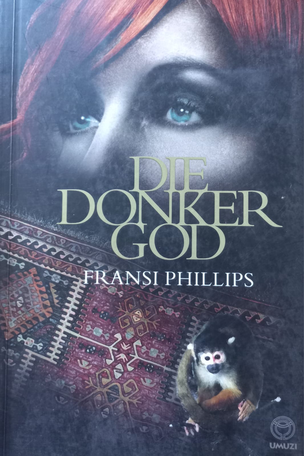 Die donker god - Fransi Phillips