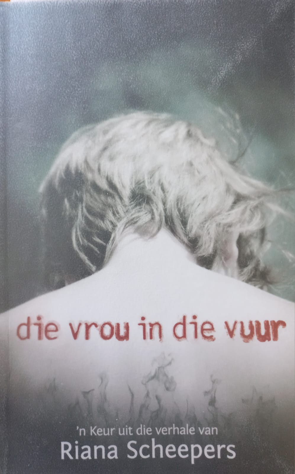 Die vrou in die vuur - Riana Scheepers