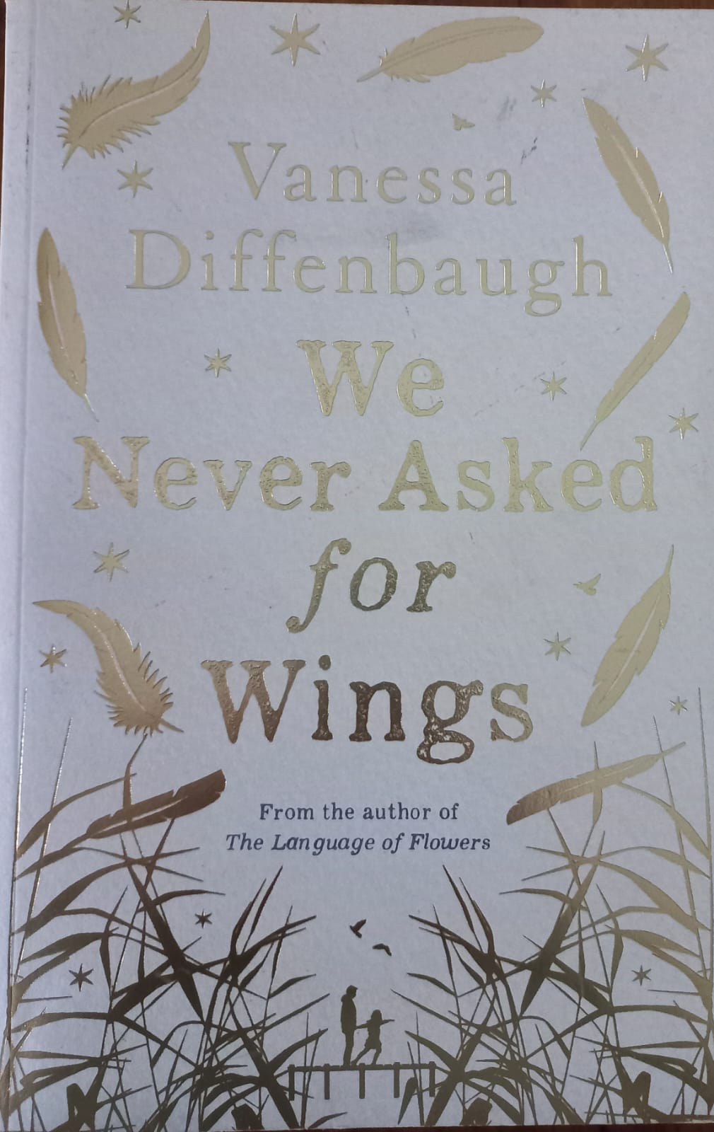 We never asked for wings - Venessa Diffenbaugh