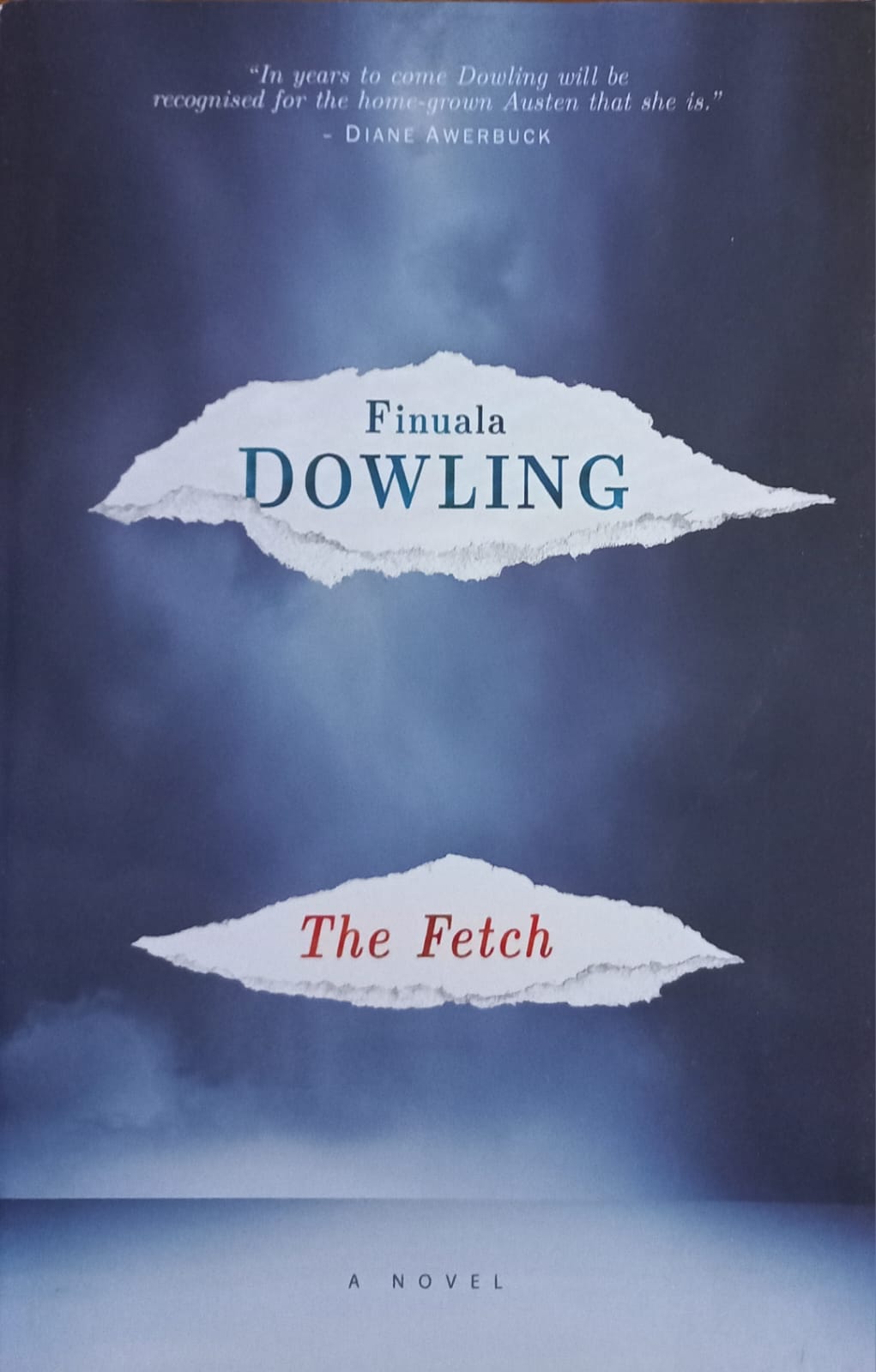 The fetch - Finuala Dowling