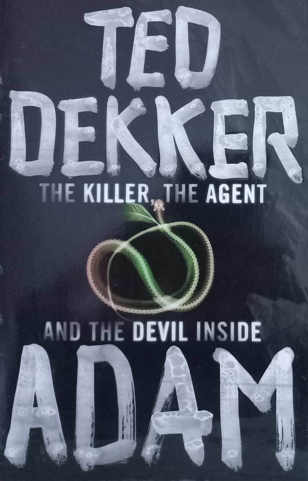 Adam - Ted Dekker