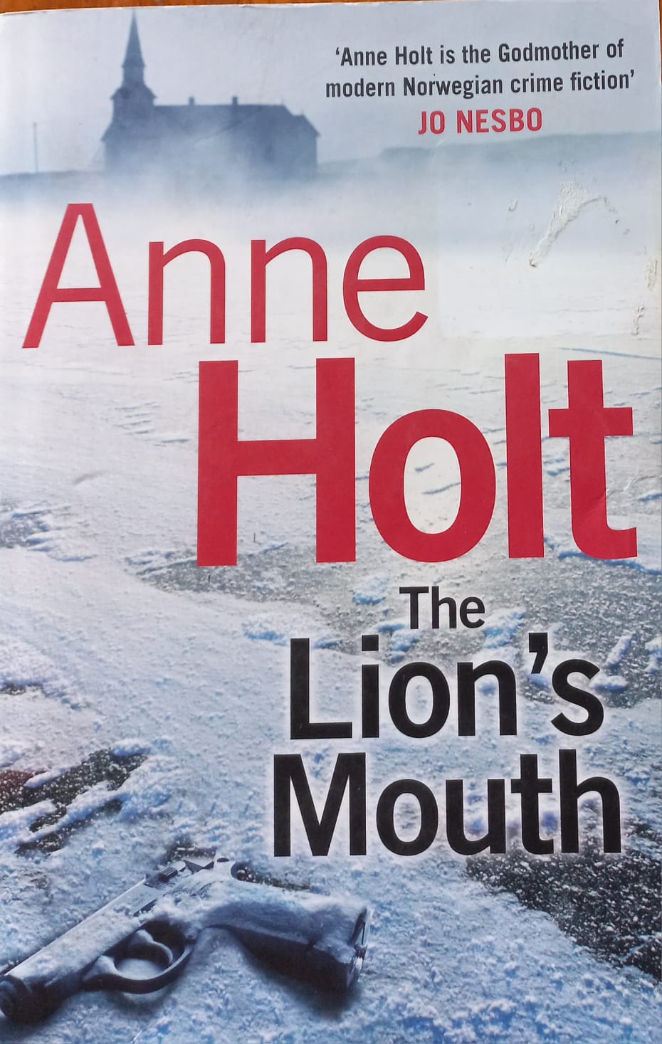 The Lion's Mouth - Anne Holt