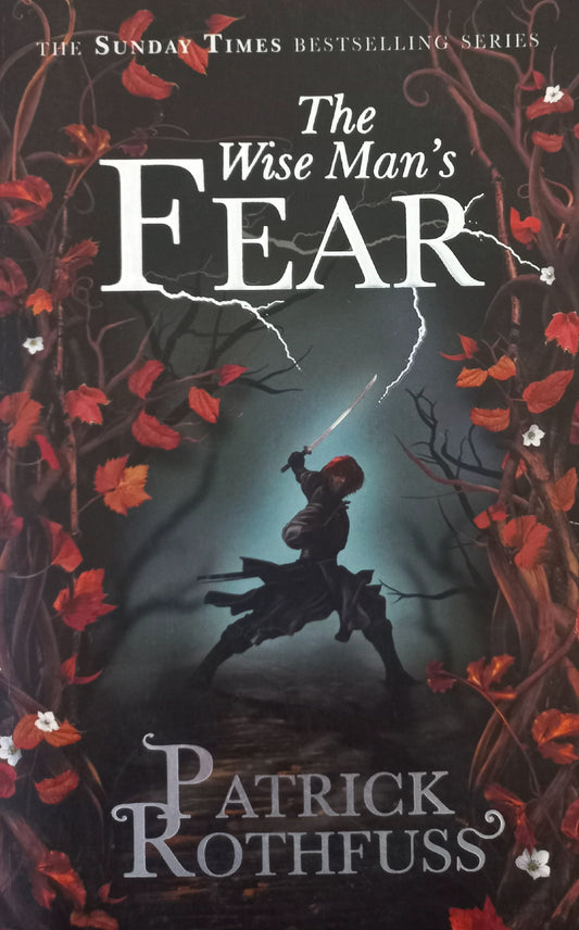 The wise man's fear - Patrick Rothfuss (The Kingkiller Chronicle #2)